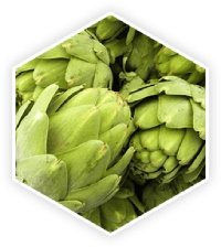 Artichoke Extract