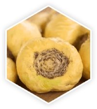 Maca Root